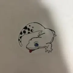 ヒョウモントカゲモドキシール