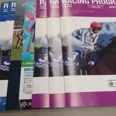 11/29.30 JRA レーシングプログラム 22 レーシングスケジュール付
