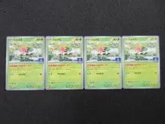プロモカードパック第4弾【シェイミ】のサムネイル