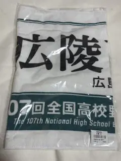 第107回全国高校野球大会 応援タオル 広島　広陵高校