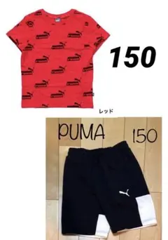 PUMA Tシャツ➕ハーフパンツ　150