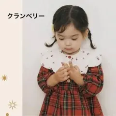 【おまとめ依頼可能】 コニースタイ　クランベリー