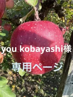 you kobayashi様専用　高徳りんご2K2箱