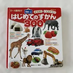 はじめてのずかん 300
