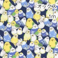 ラスト 1m インコ ネイビー オックス