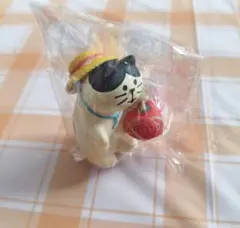コンコンブル (水遊び子猫)