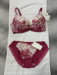 専用！☆ワコール パルファージュ E65・M☆45G WACOAL パルファージュ ワコール サイズ…E65 - メルカリ