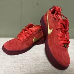 Paul Rodriguez × Nike SB P-Rod 1のサムネイル