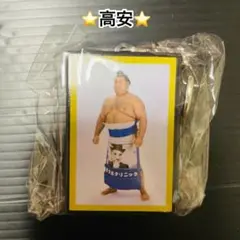 大相撲★9月場所新作ガチャ★高安★明け荷★①