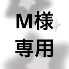 M様専用　すにすてちびぐるみ