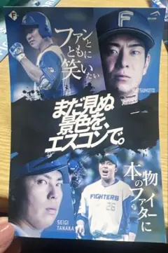 ファイターズ　ステッカー　松本剛　田中正義