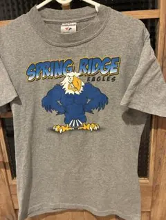 US古着JERZEES SPRING RIDGE EAGLES Tシャツ Sのサムネイル