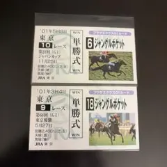 ジャングルポケット　JRA プラザエクウス　トレカG1カード　馬券型　競馬