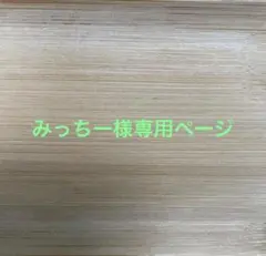 みっちー様専用ページ