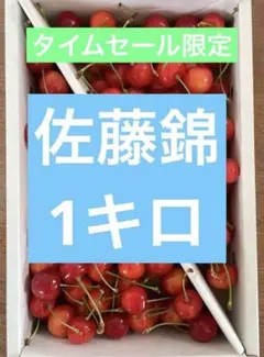 山形県産 大将錦 さくらんぼ 2L-3Lサイズ 500g - メルカリ