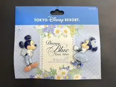 東京ディズニーリゾートピンバッジセット　ミッキー　ミニー