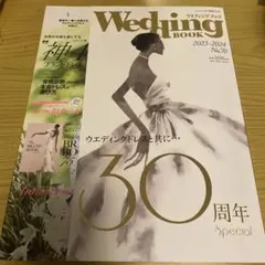 Item thumbnail for item 2a6e75fe-0c2f-4b1b-b738-7ab30c711948