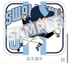 2025 crew ピンバッジ ヤクルト 並木秀尊