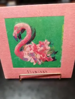 米津玄師 Flamingo Special Video DVD