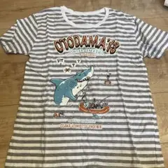 OTODAMAA13 DALUC ストライプ Tシャツ Sサイズ