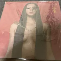 Awich 孔雀 アナログレコード LP 2枚組 2026年最新】awich 孔雀の人気アイテム - メルカリ