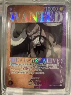 K*o様 カイドウ SP SR パラレル WANTED