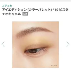 未開封 エテュセ アイエディション　10 ピスタチオ キャメル 2個セット
