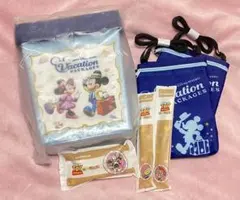 ディズニー バケーションパッケージ ポップコーンケース ショルダー アメニティ