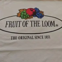 90's フルーツオブザルーム Tシャツ