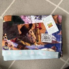 Item thumbnail for item c755d6aa-3047-4130-9227-113fcdf5b3a4