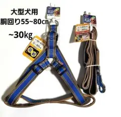 Item thumbnail for item 4044e252-548c-4a2b-bf24-9bc91e817b7e