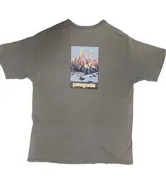 90s USA製 Patagonia 山柄 Tシャツ フェード L〜XL