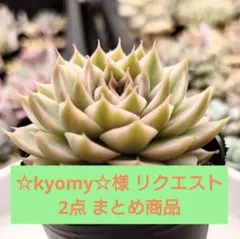 ☆kyomy☆様 リクエスト 2点 まとめ商品