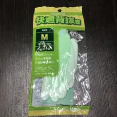 Item thumbnail for item e8ba6cc3-e4cc-49c5-acb9-5e2ceabf4b7d