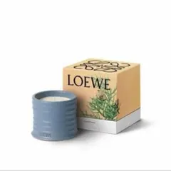 未使用 LOEWE ロエベ キャンドル イエロー ハニーサックル スモール