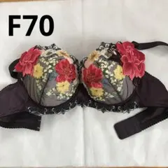 2026年最新】サルート f70の人気アイテム - メルカリ