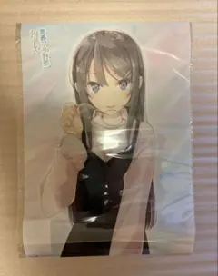 ブルーリフレクション 描き下ろし イラスト B3 布ポスター 白井日菜子