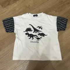 100cm グレードスコープ 恐竜のサムネイル