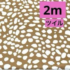 ラスト出品SALE★ツイル★ダルメシアン★カフェオレ★ラスト1枚