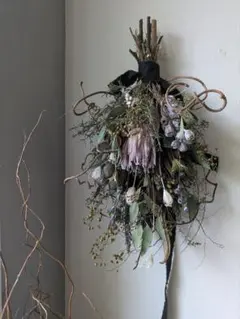 創作スワッグ　プロテア＆キュウイツル プロテアとキウイつるのスワッグ パンパス 秋 ドライフラワー