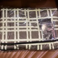 Item thumbnail for item 61a10396-426f-4ea0-aa2c-82b056ef8b7c