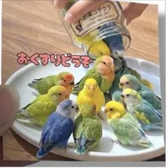 ちーたん様 リクエスト 3点 まとめ商品