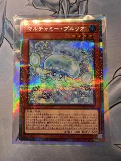 マルチャミー・プルリア プリズマ　プリシク