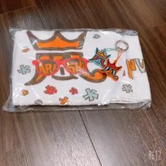 嵐フェス2013 グッズ