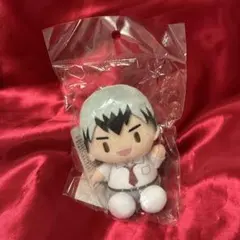 ハイキュー!!　稲荷崎高校　北信介　座ぬい　制服