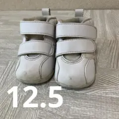 asics ファーストシューズ アシックス 12.5cm