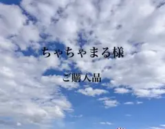 【美品】 タトラス コルマ ダウンジャケット　レオパード　02 ショート丈 美品】 タトラス コルマ ダウンジャケット レオパード 02