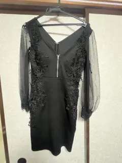 ブラック シースルー袖 刺繍ドレス M