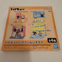 ハイキュー アクリルスタンド C 月島蛍 黒尾鉄朗 木兎光太郎 フィギュア