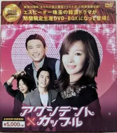 アクシデント・カップル DVD-BOX